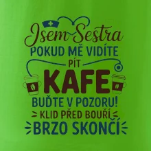 Jsem sestra  - Klid před bouří