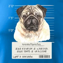 Lump a darebák mopsík