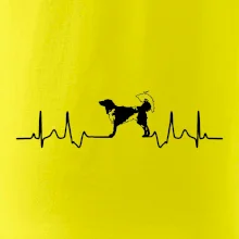 Český strakatý pes EKG
