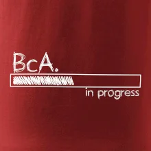 In progress  titul BcA. bakalář / bakalářka umění