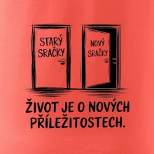 Dveře  - starý sračky - nový sračky