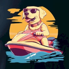 Zlatý retrívr na vodním skútru