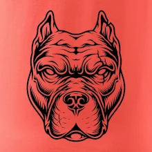 Americký stafordširský teriér hlava