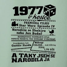 1977 v kostce