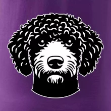 Lagotto romagnolo hlava na prsu