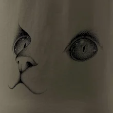 Kočičí oči černé