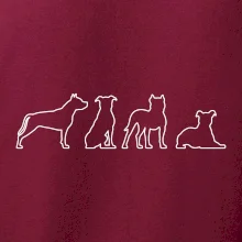 Americký stafordširský teriér v různých pozicích