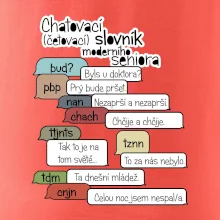 Chatovací slovník moderního seniora (Běžící češtinář)