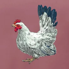 Slepice kreslená bílá