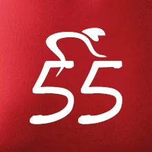 Cyklista slaví pětapadesátku (55)