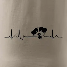 Jack Russell Terriér hrubosrstý Ekg
