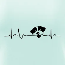 Jack Russell Terriér hrubosrstý Ekg