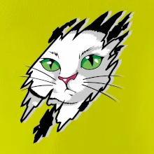 Kočka v roztrženém triku