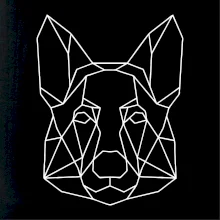 Německý ovčák - Geometrie