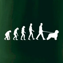 Evoluce pes Briard Evoluce pes Briard