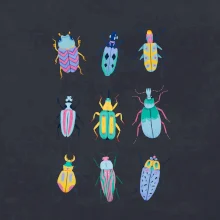 Barevní brouci (studio-arte.cz)