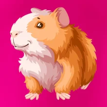 Morče - kreslené, bílo oranžové