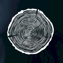 Letokruhy 55 bez věku