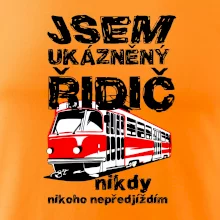 Jsem ukázněný řidič - tramvaj