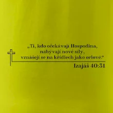 Citáty z bible - Izajáš 40:31