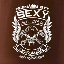 Nesnáším být sexy - opravář