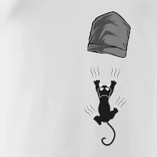 Kočka vypadla z kapsy