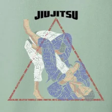 Jiu jitsu triangle