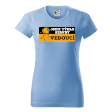 Jsem týhle stavby vedoucí