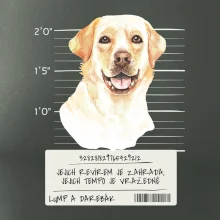 Lump a darebák labrador