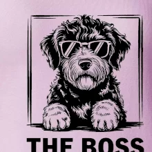 Lagotto romagnolo the boss