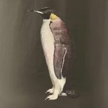 Tučňák kreslený vodovými barvami