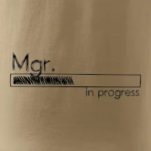 In progress titul Mgr.  magistr / magistra