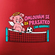 Nohejbalové prasátko na síti