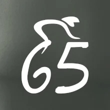 Cyklista slaví pětašedesátku (65)