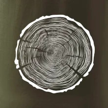 Letokruhy 100 bez věku