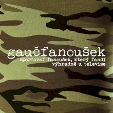 Čeština 2.0 - gaučfanoušek