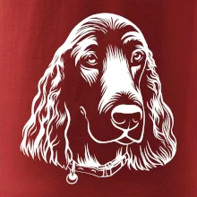 Kokršpaněl - hlava kreslená