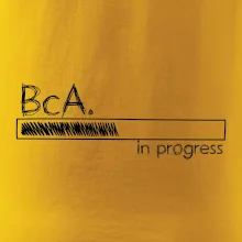 In progress  titul BcA. bakalář / bakalářka umění