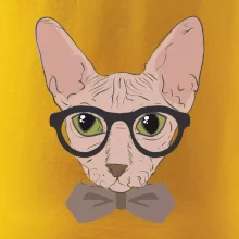 Hipster sphynx
