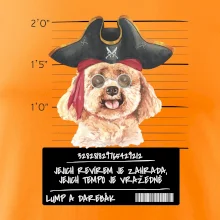 Lump a darebák pudl