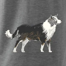 Border kolie kreslená