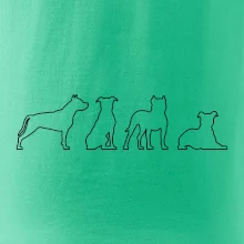 Americký stafordširský teriér v různých pozicích