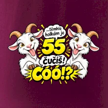 Těmhle holkám je 55, čučíš co?
