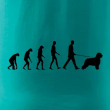 Evoluce pes Briard Evoluce pes Briard