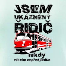 Jsem ukázněný řidič - tramvaj