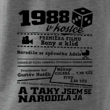 1988 v kostce
