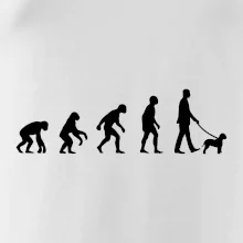 Lagotto romagnolo Evoluce muž / žena