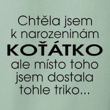 Chtěla jsem dostat k narozeninám koťátko