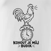 Kohout jako ranní budík
