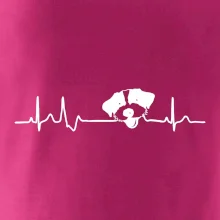 Jack Russell Terriér hrubosrstý Ekg